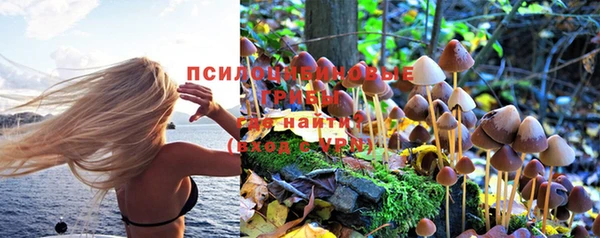 Альфа ПВП Белоозёрский