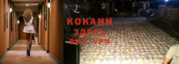 спайс Баксан