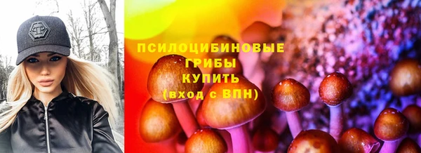 спайс Баксан