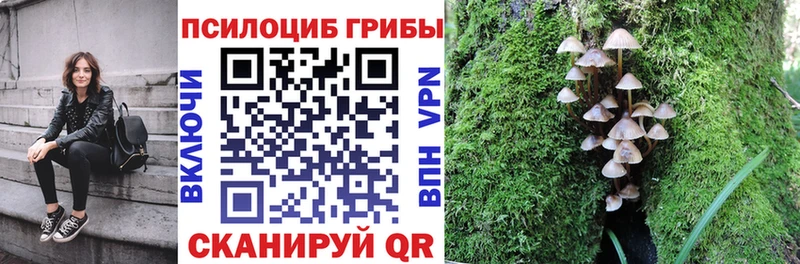 дарнет шоп Семилуки Псилоцибиновые грибы MAGIC MUSHROOMS